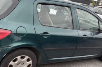 Catalyseur (echappement) PEUGEOT 307