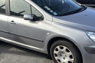 Catalyseur (echappement) PEUGEOT 307