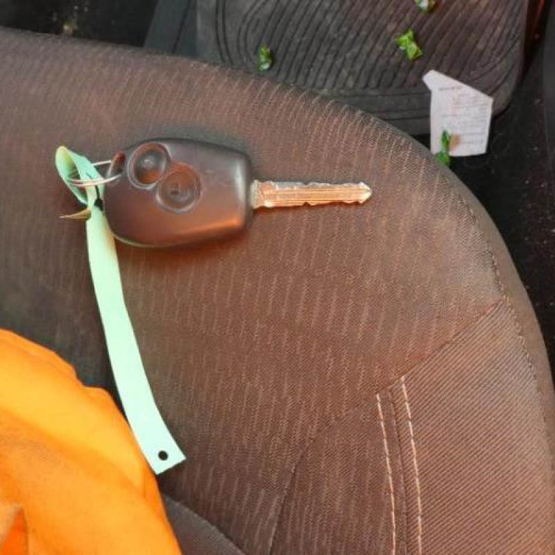 Malle/Hayon arriere DACIA LODGY Photo n°6