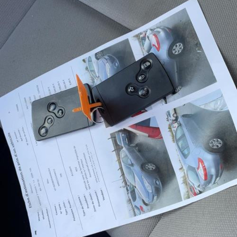 Malle/Hayon arriere RENAULT MEGANE 3 Photo n°3