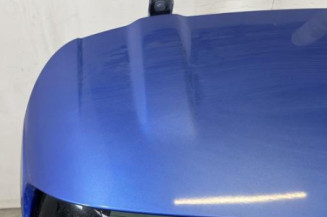 Malle/Hayon arriere RENAULT CLIO 4