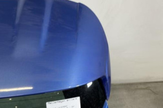 Malle/Hayon arriere RENAULT CLIO 4