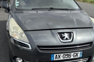 Malle/Hayon arriere PEUGEOT 5008 1