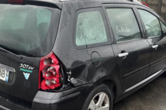 Malle/Hayon arriere PEUGEOT 307