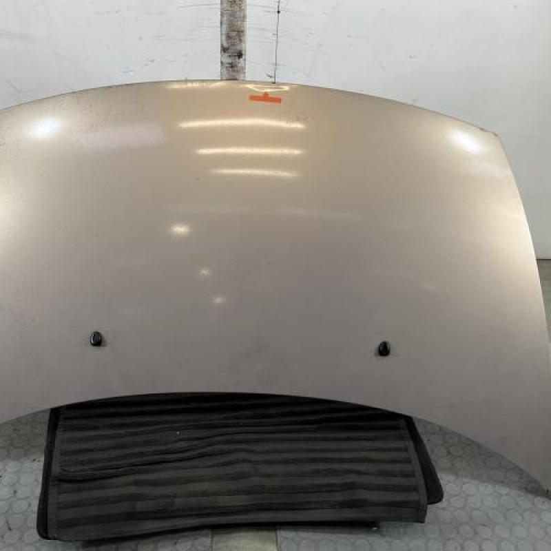 Capot CITROEN C3 1 Photo n°1