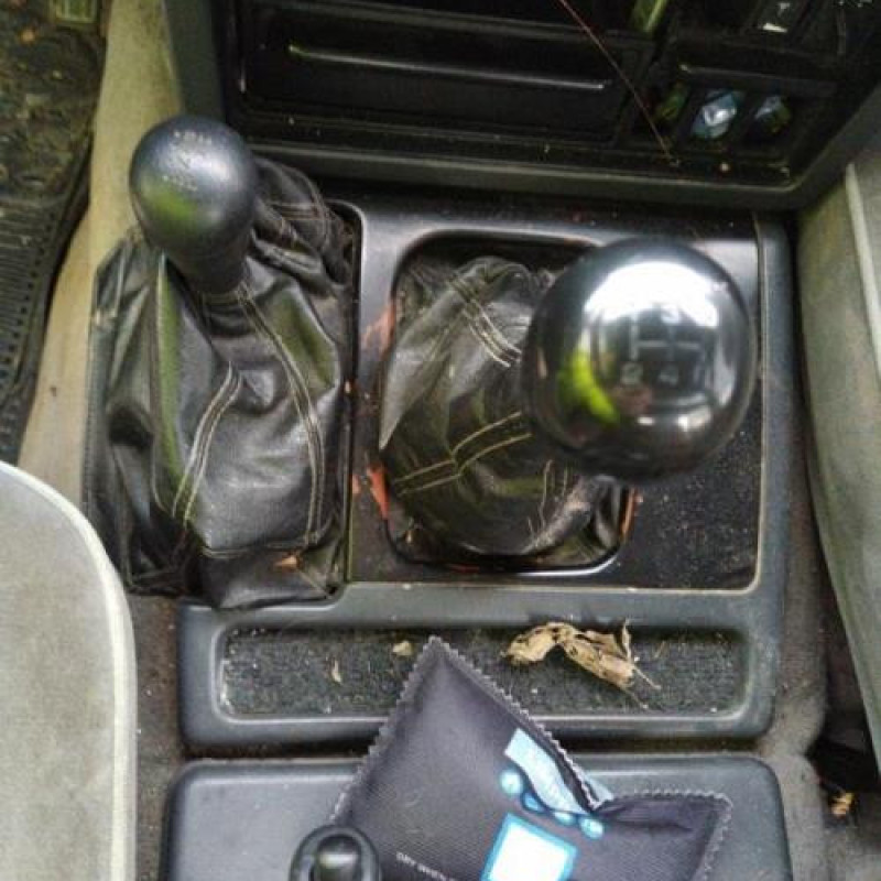 Avertisseur/Klaxon NISSAN PATROL 1 Photo n°13