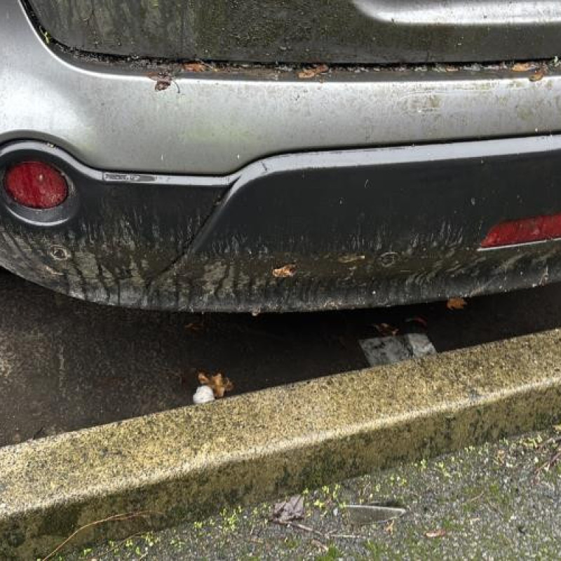 Vase de lave glace NISSAN QASHQAI 1 Photo n°6