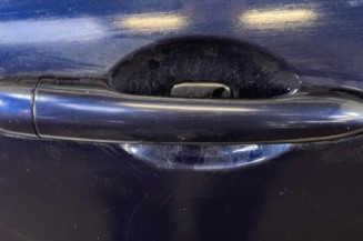 Porte arriere droit RENAULT LAGUNA 3