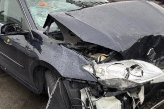 Porte arriere droit RENAULT LAGUNA 3