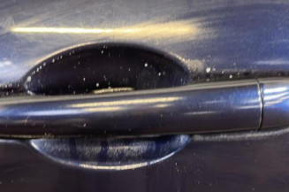 Porte arriere gauche RENAULT LAGUNA 3