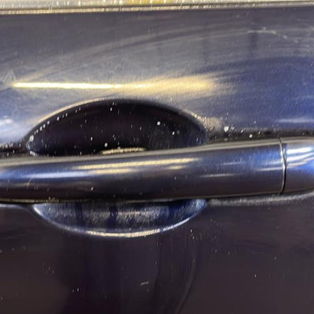 Porte arriere gauche RENAULT LAGUNA 3