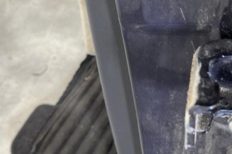 Porte arriere gauche RENAULT LAGUNA 3