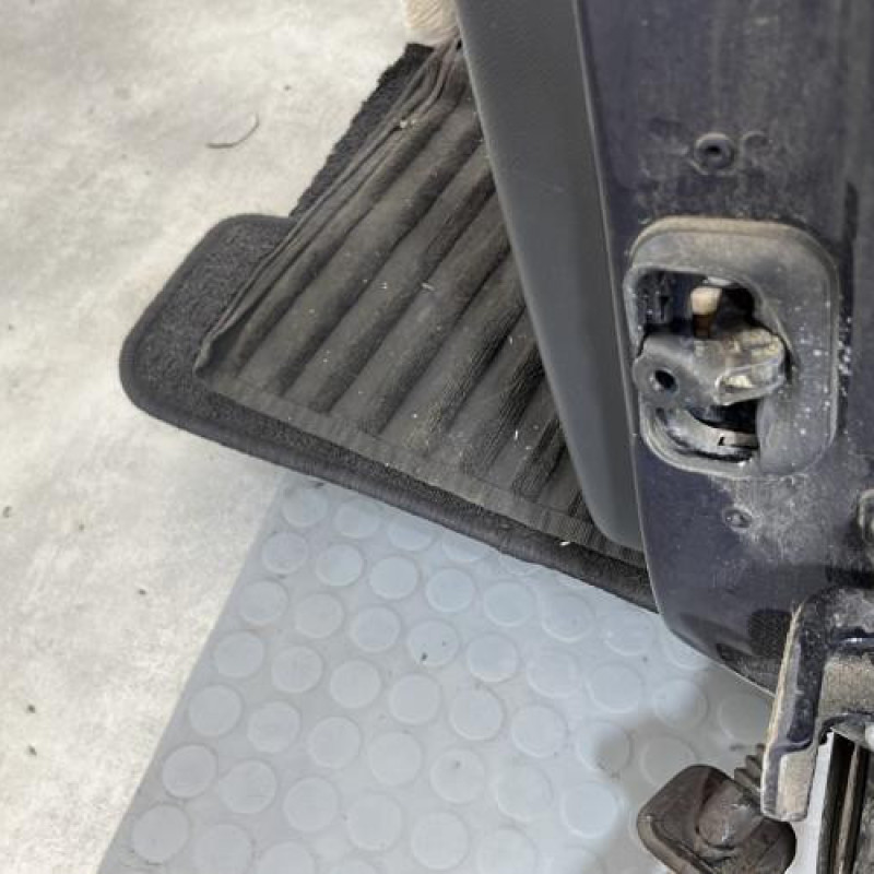 Porte arriere gauche RENAULT LAGUNA 3 Photo n°5