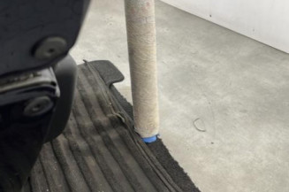 Porte arriere gauche RENAULT LAGUNA 3