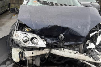 Porte arriere gauche RENAULT LAGUNA 3