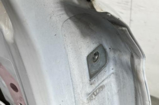 Porte arriere gauche OPEL CORSA E