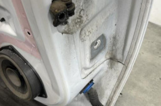 Porte arriere gauche OPEL CORSA E