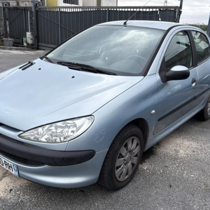 Porte arriere droit PEUGEOT 206 Photo n°7