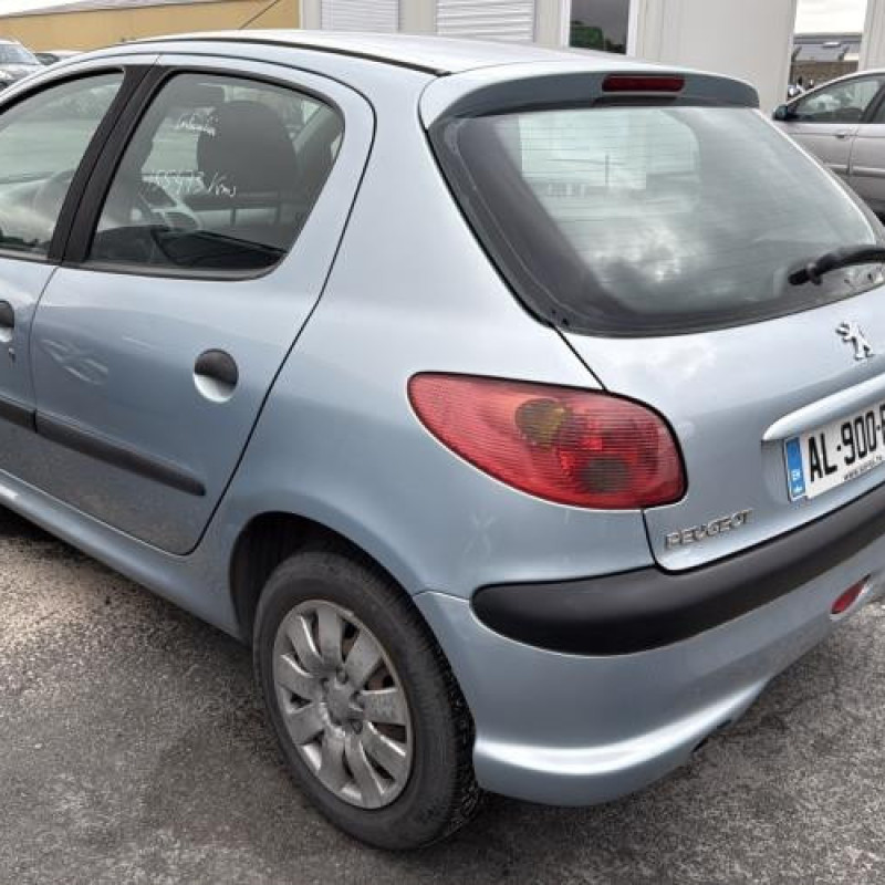 Porte arriere droit PEUGEOT 206 Photo n°10