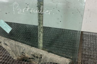 Vitre arriere droit OPEL ASTRA J