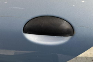 Porte arriere gauche PEUGEOT 206
