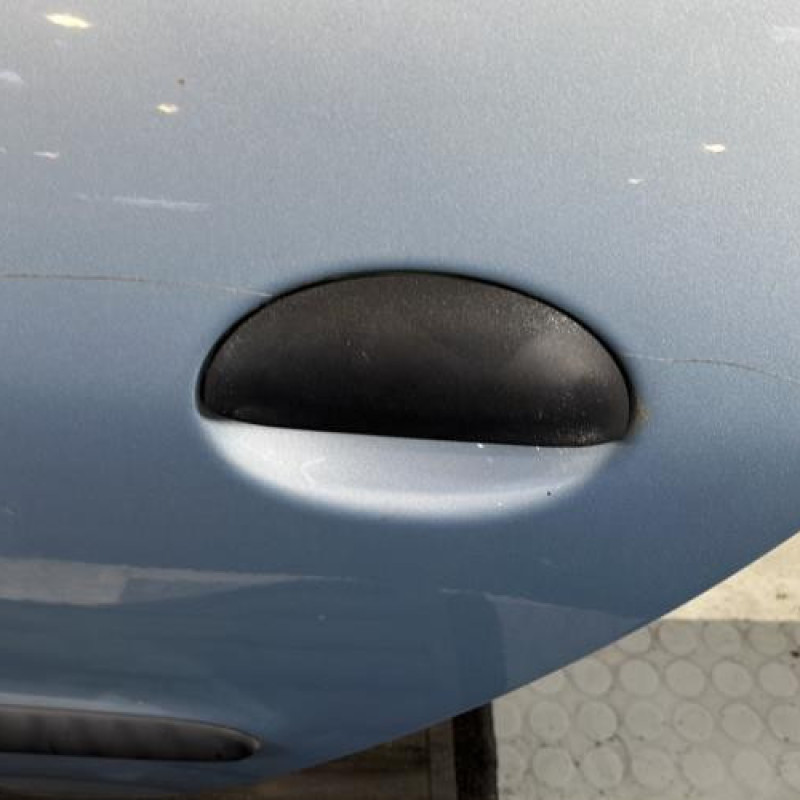 Porte arriere gauche PEUGEOT 206 Photo n°2