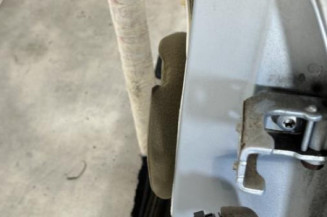 Porte arriere gauche PEUGEOT 206