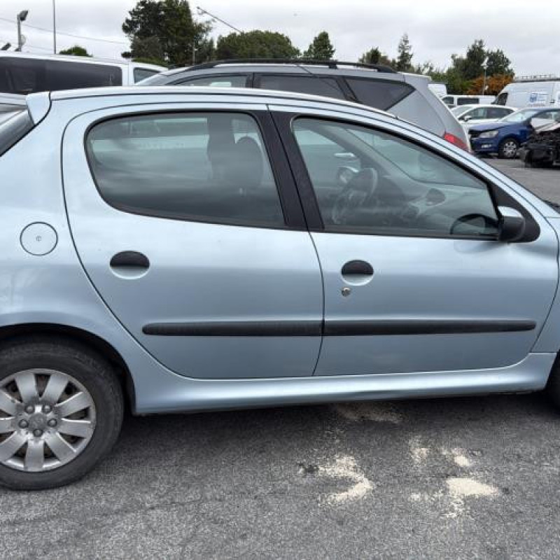 Porte arriere gauche PEUGEOT 206 Photo n°13