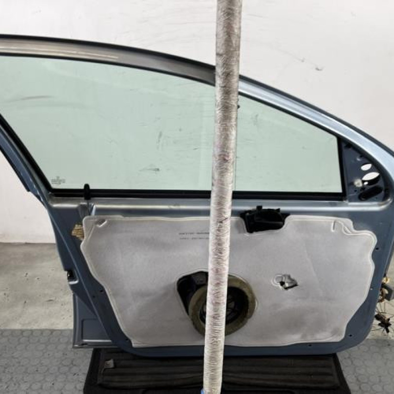 Porte avant gauche PEUGEOT 206 Photo n°6
