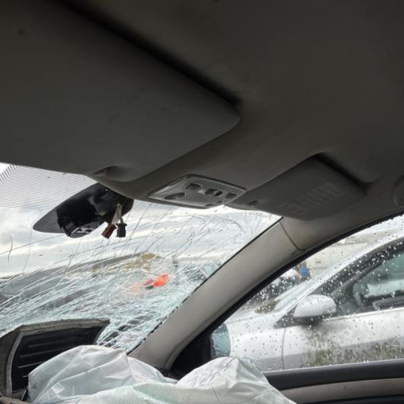 Porte avant droit RENAULT LAGUNA 3 Photo n°17