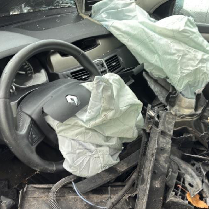 Porte avant droit RENAULT LAGUNA 3 Photo n°18