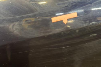 Porte avant gauche RENAULT LAGUNA 3