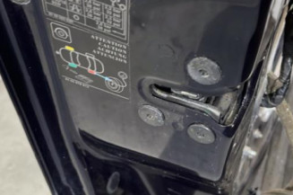 Porte avant gauche RENAULT LAGUNA 3