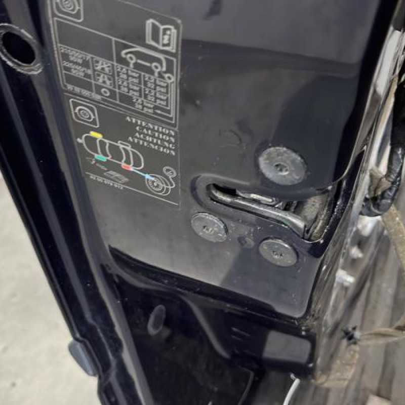 Porte avant gauche RENAULT LAGUNA 3 Photo n°5