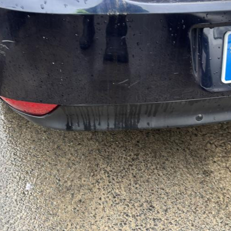 Porte avant gauche RENAULT LAGUNA 3 Photo n°12