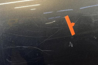 Porte arriere gauche PEUGEOT 207