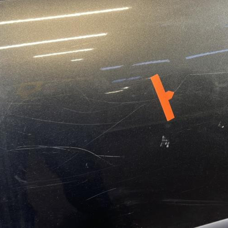 Porte arriere gauche PEUGEOT 207 Photo n°3