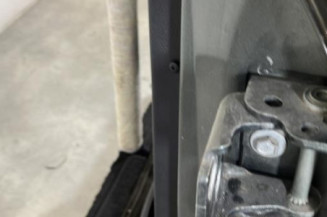 Porte arriere gauche PEUGEOT 207