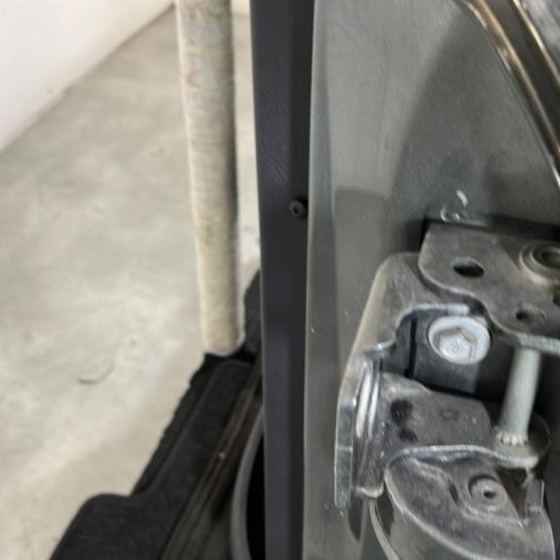 Porte arriere gauche PEUGEOT 207 Photo n°4