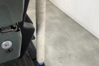 Porte arriere gauche PEUGEOT 207