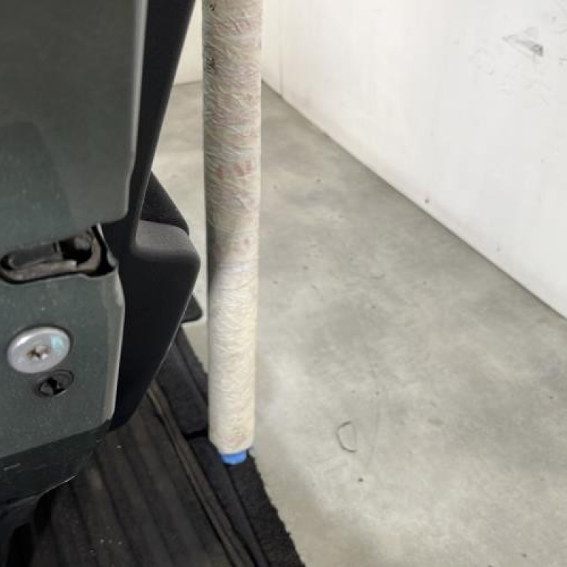 Porte arriere gauche PEUGEOT 207 Photo n°6