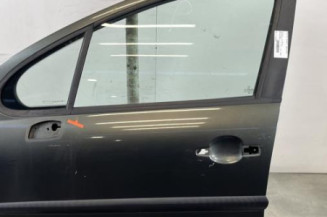 Porte avant gauche PEUGEOT 207 Photo n°1