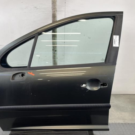 Porte avant gauche PEUGEOT 207 Photo n°1