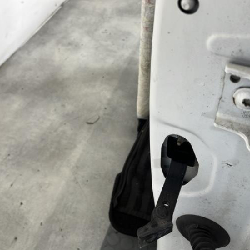 Porte avant gauche PEUGEOT 208 1 Photo n°2