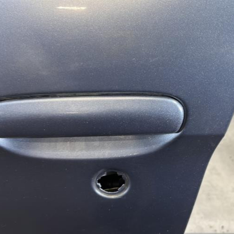 Porte avant gauche CITROEN XSARA PICASSO Photo n°2