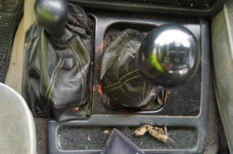 Porte de coffre droit NISSAN PATROL 1