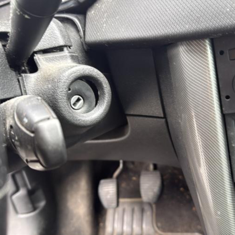 Cremaillere assistee PEUGEOT 207 Photo n°18