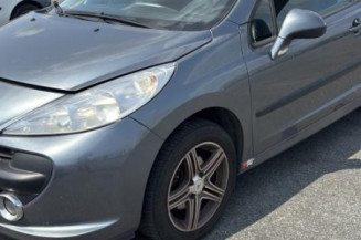 Cremaillere assistee PEUGEOT 207