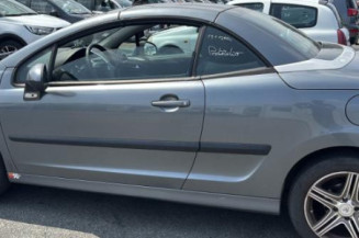 Cremaillere assistee PEUGEOT 207