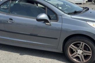 Cremaillere assistee PEUGEOT 207